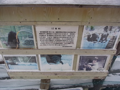 宝川温泉の熊との混浴